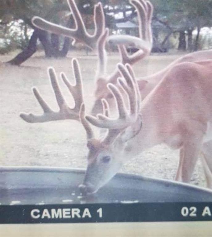 57.55 acres in Coryell County