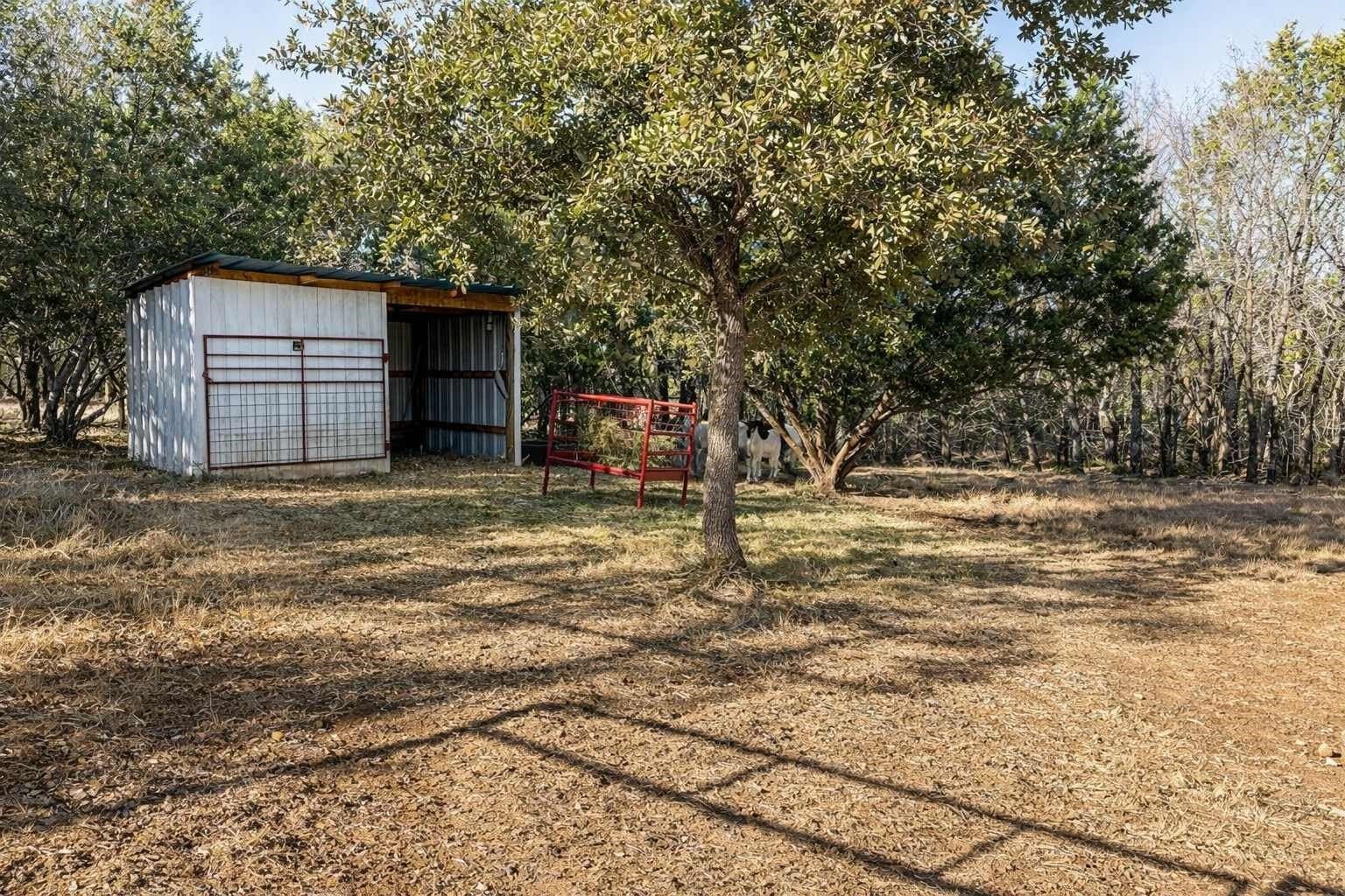 11.04 acres in Coryell County - photo 35