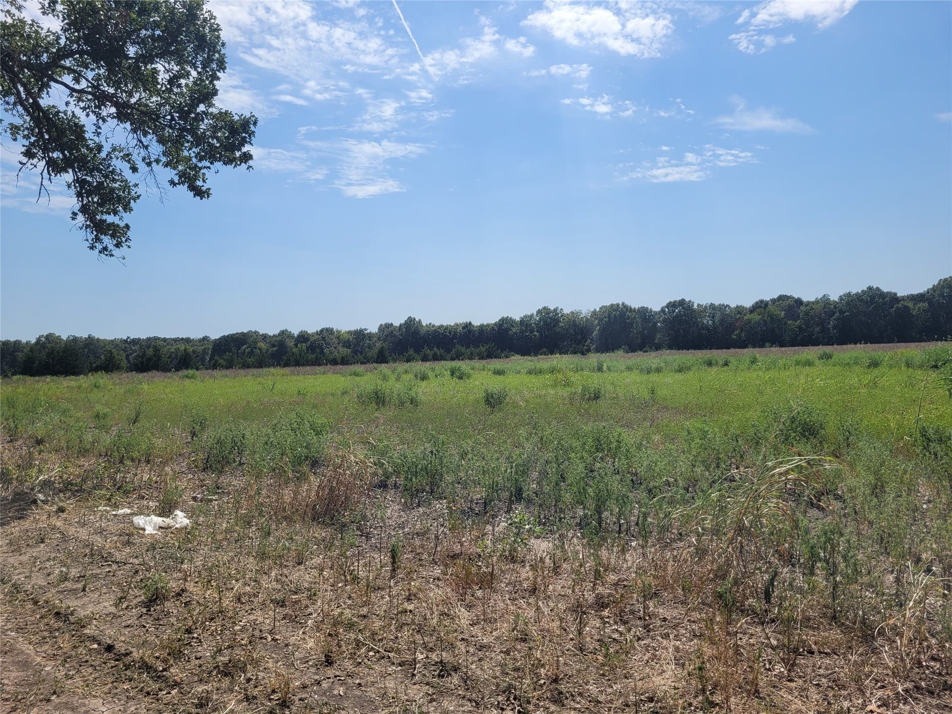 10.01 acres in Red River (TX) County - photo 9