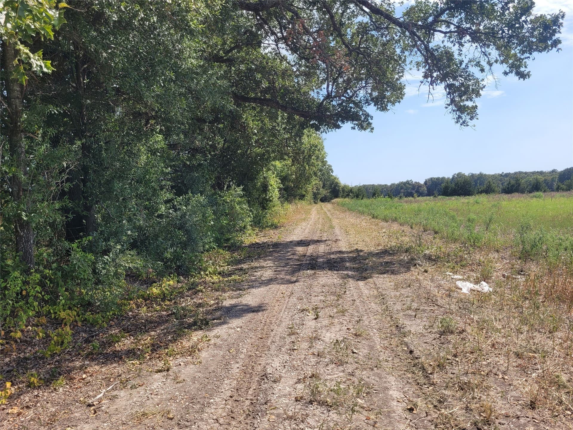 10.01 acres in Red River (TX) County - photo 6