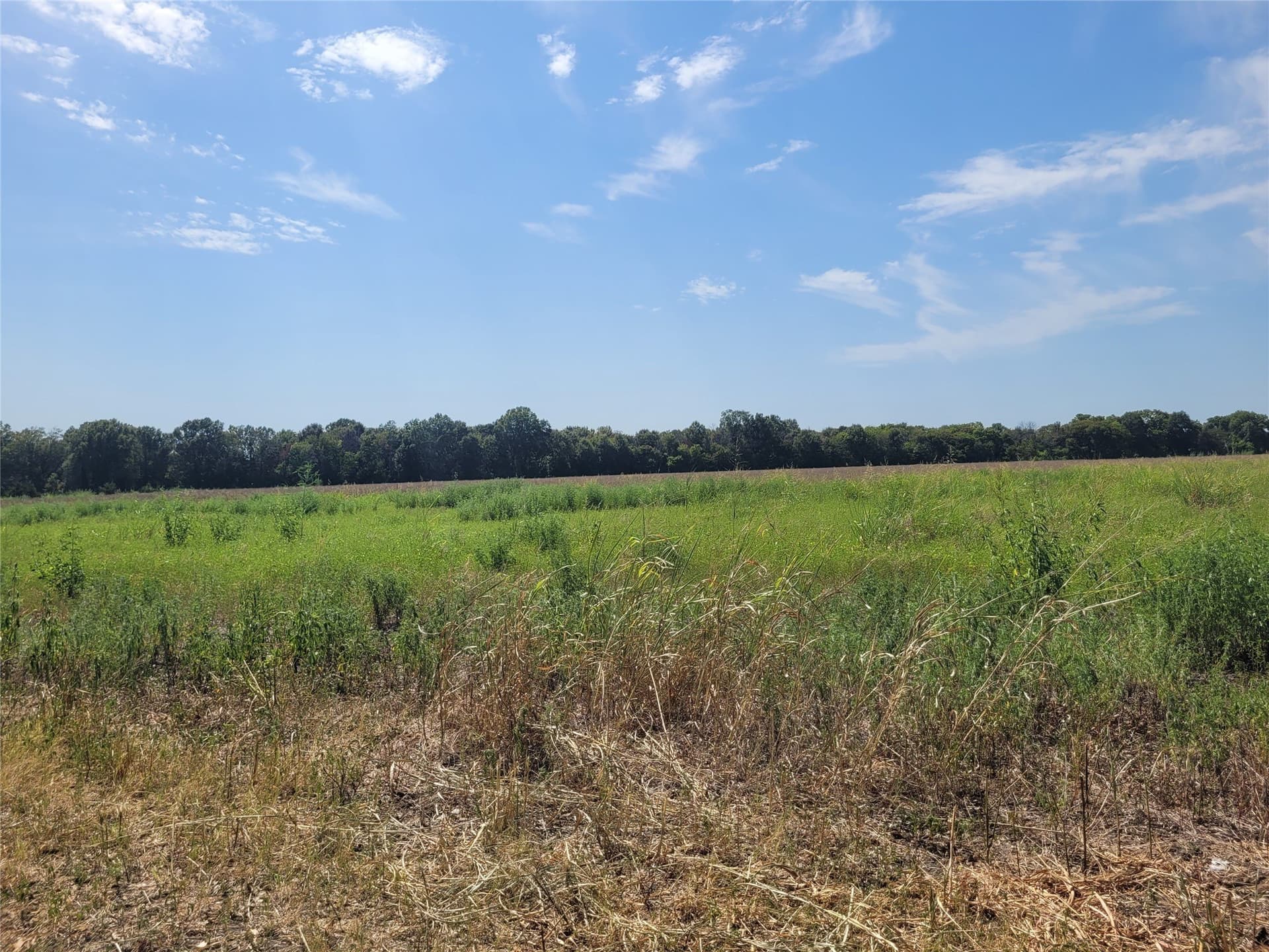 10.01 acres in Red River (TX) County - photo 5