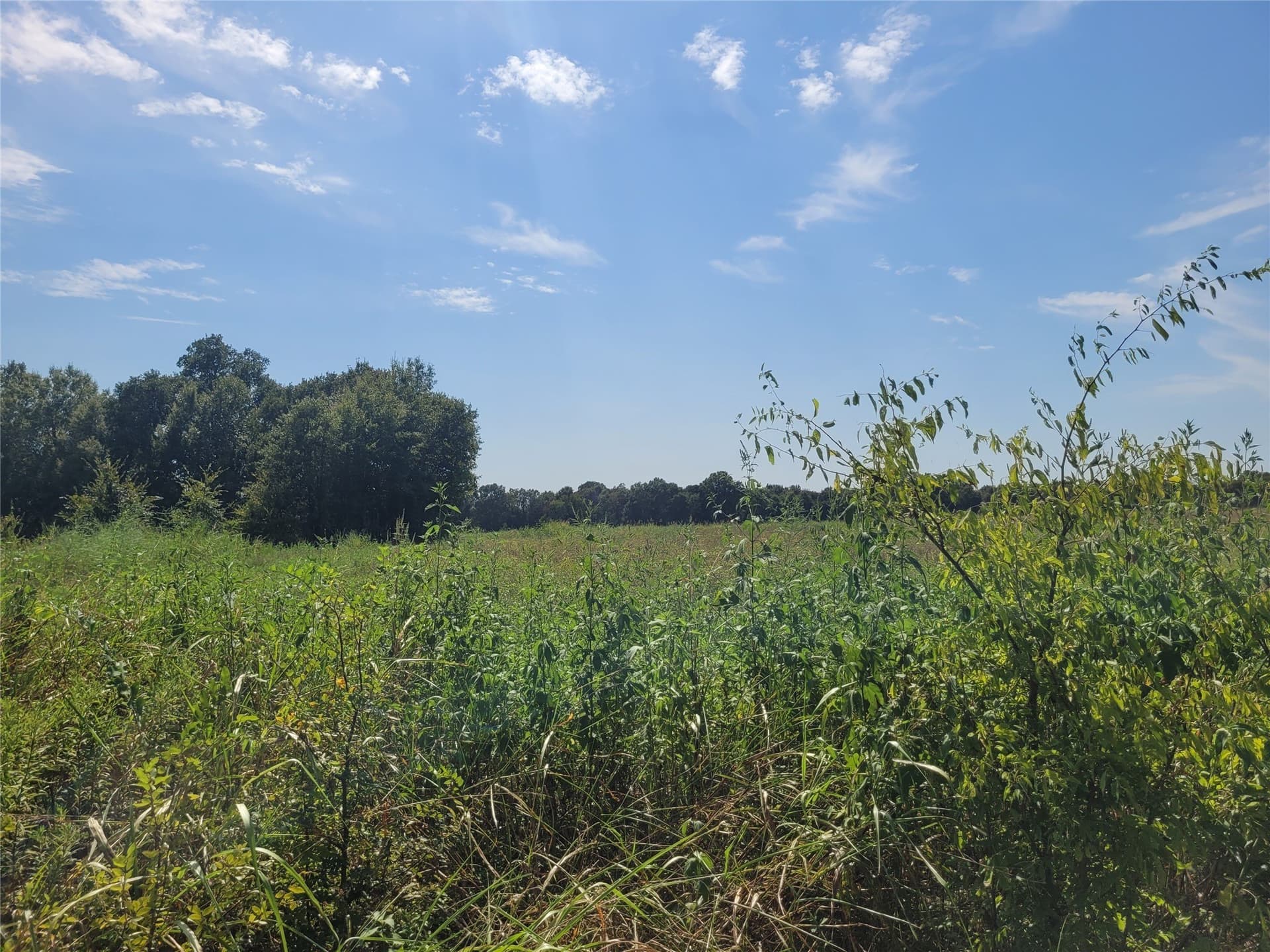 10.01 acres in Red River (TX) County