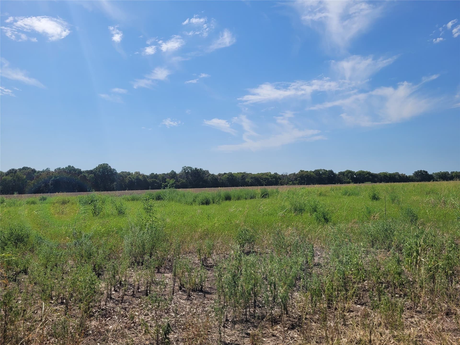 10.01 acres in Red River (TX) County - photo 10