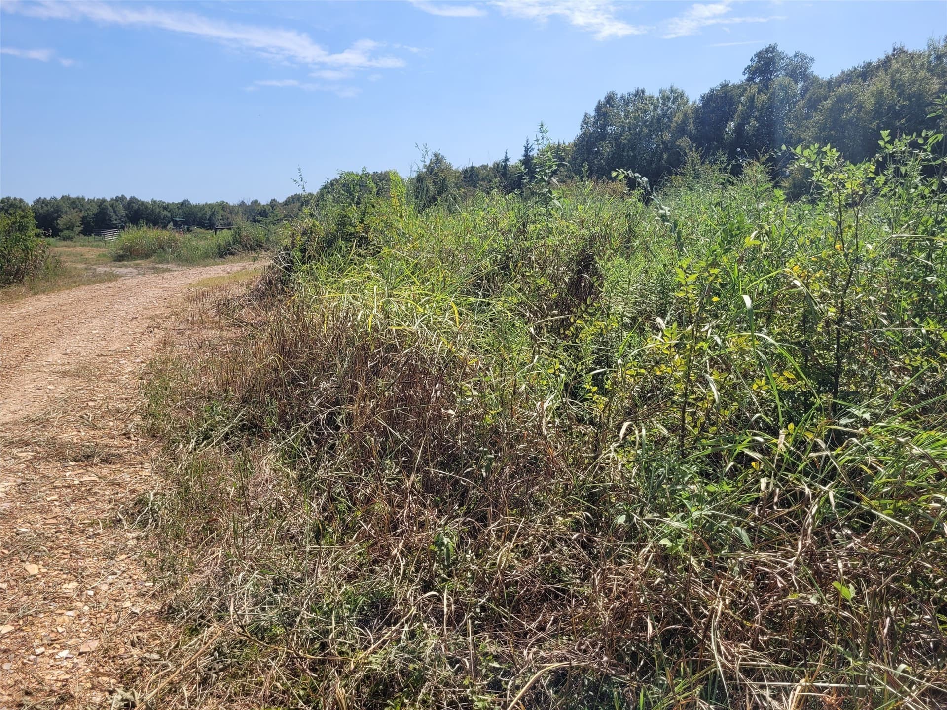 10.01 acres in Red River (TX) County - photo 2