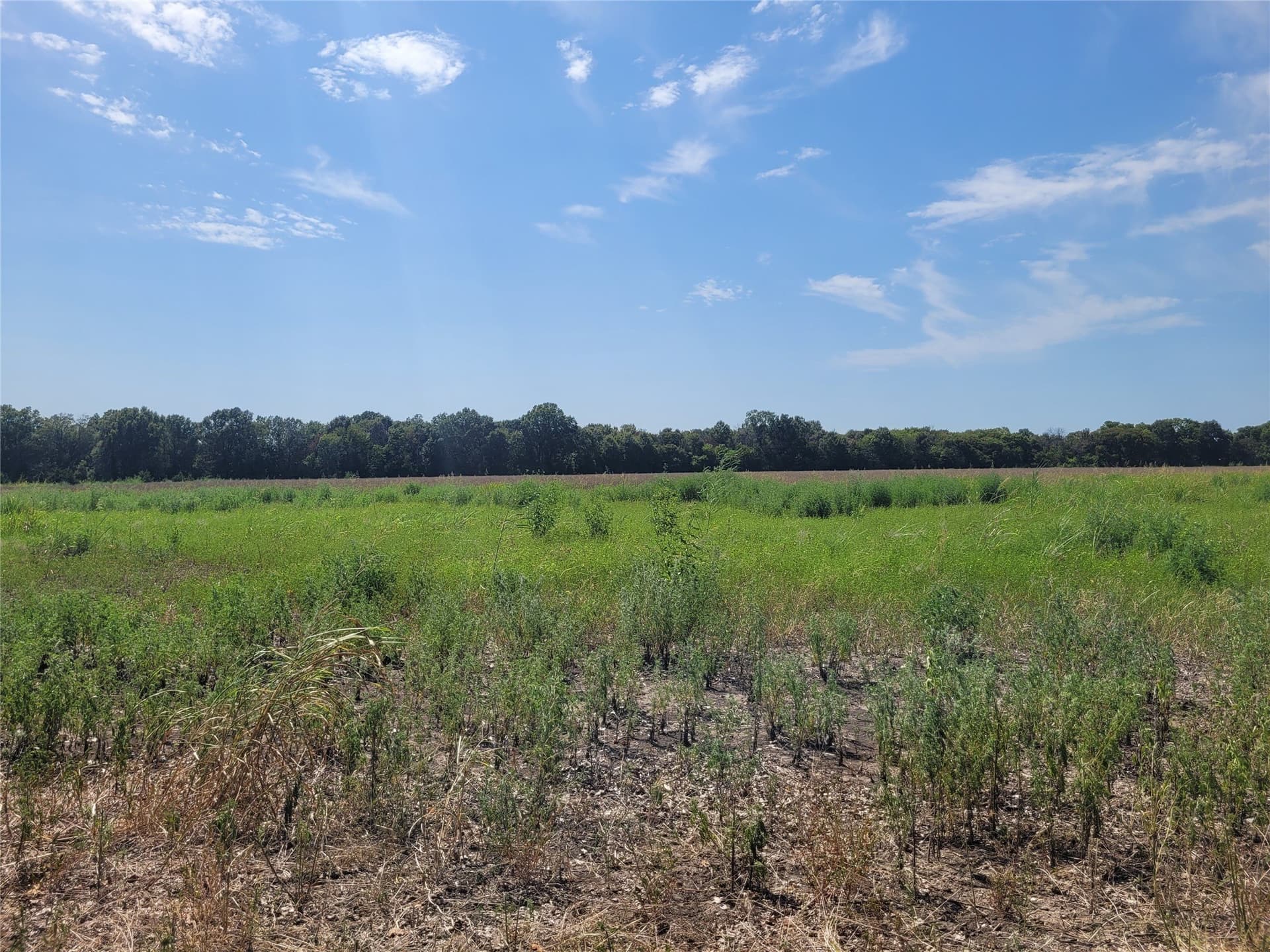 10.01 acres in Red River (TX) County - photo 8