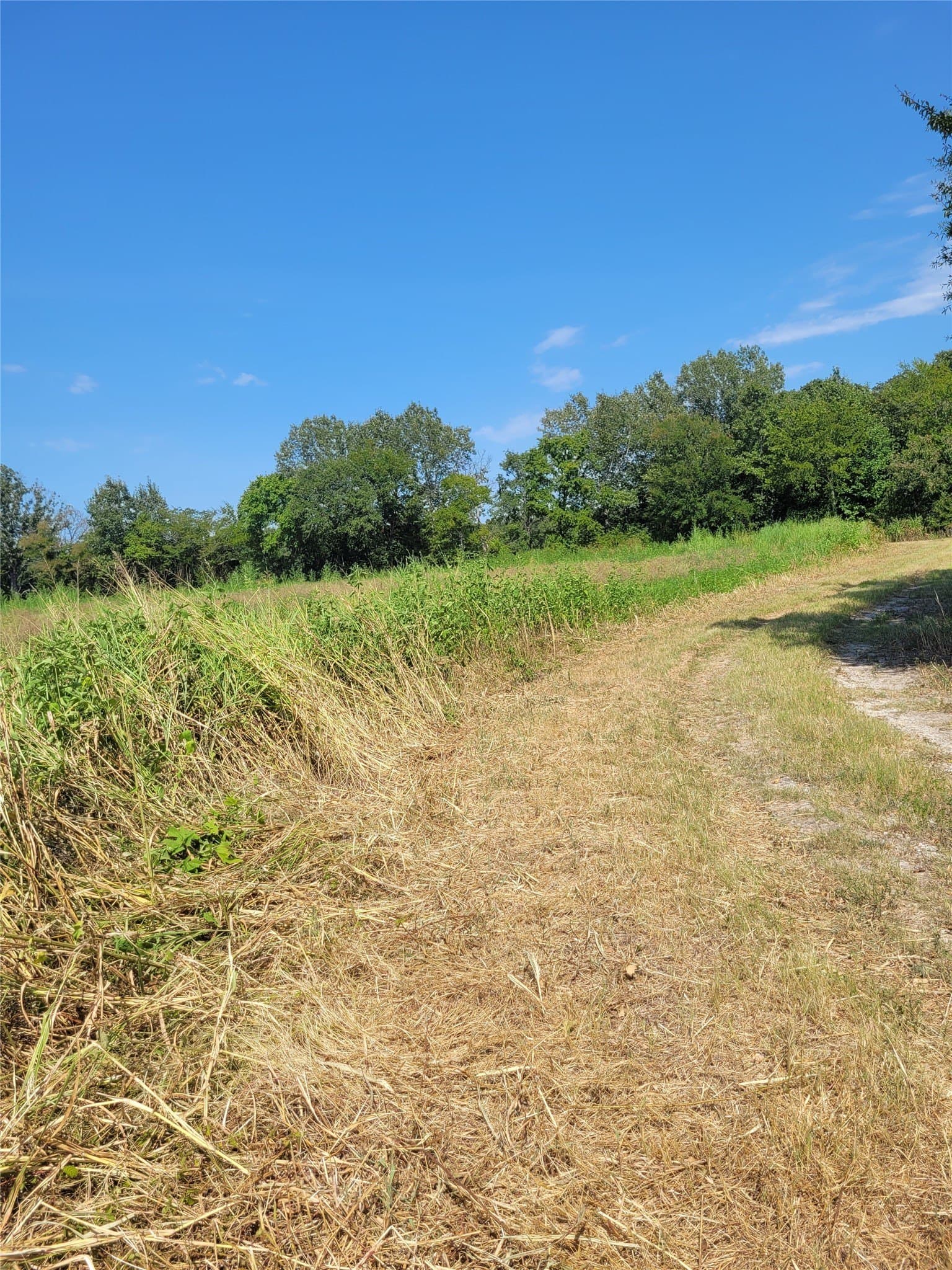 10.01 acres in Red River (TX) County - photo 3