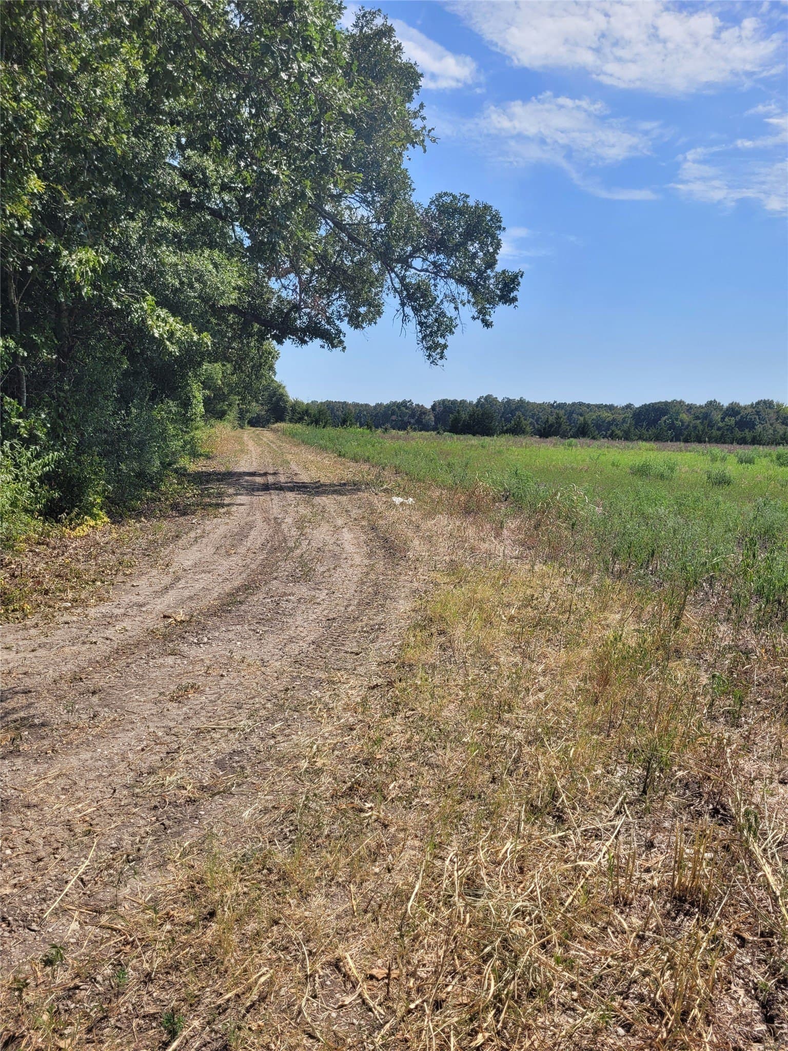 10.01 acres in Red River (TX) County - photo 7