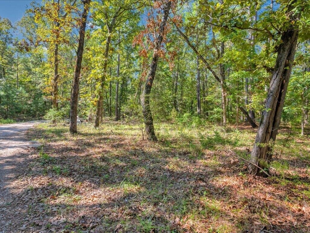 35.39 acres in Texas County - photo 22