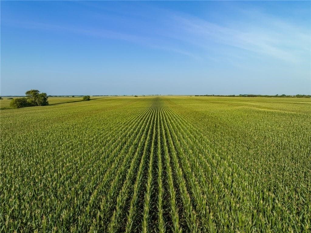 159.76 acres in McLennan County - photo 7
