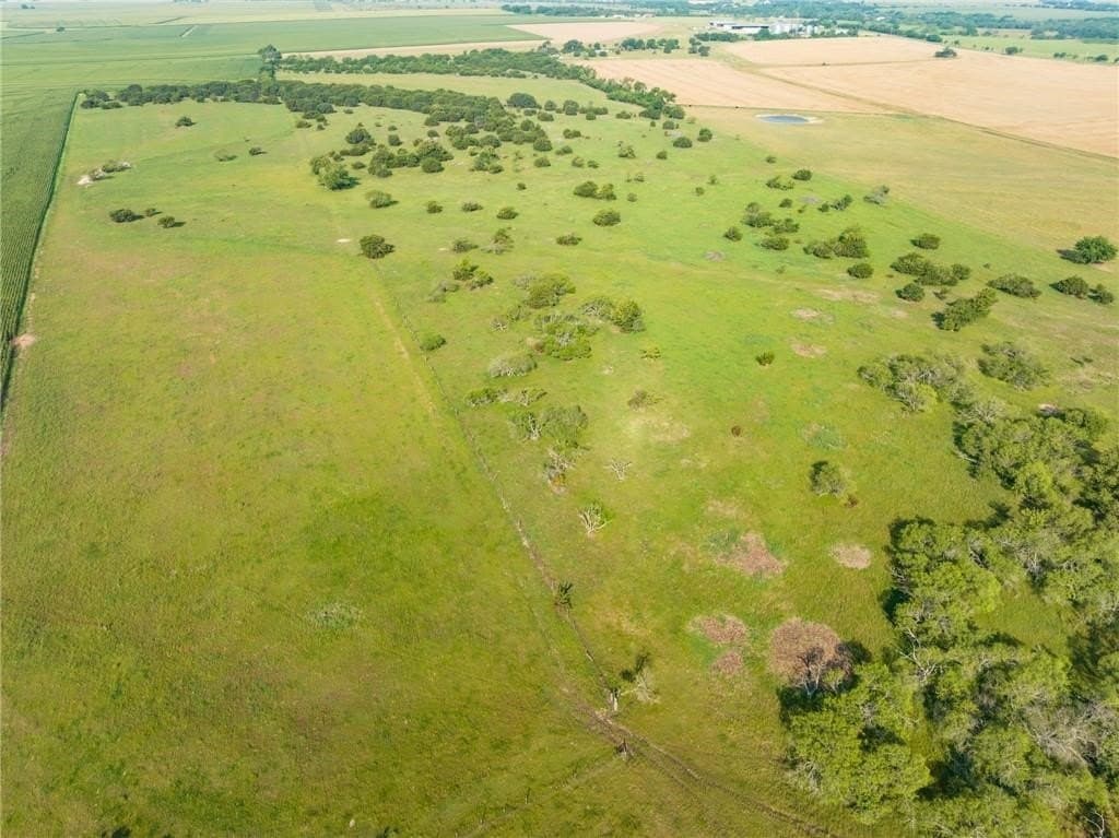 159.76 acres in McLennan County - photo 8