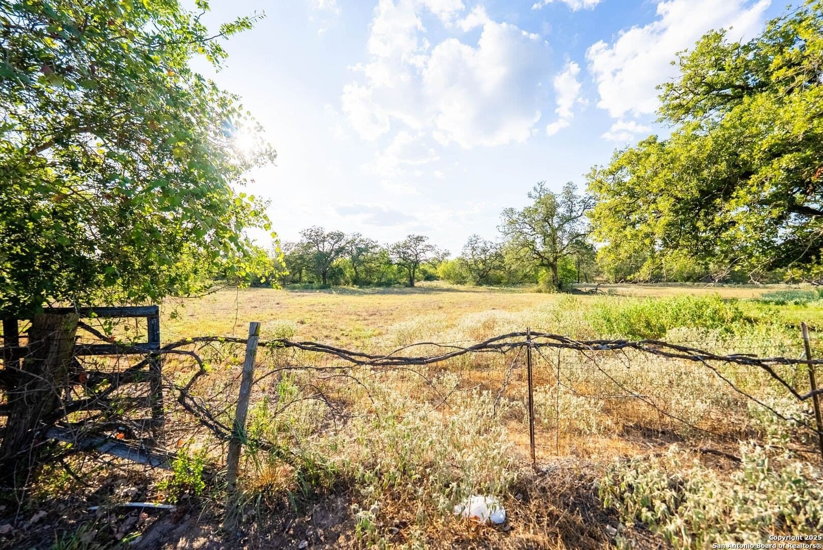 104.5 acres in Guadalupe County - photo 12