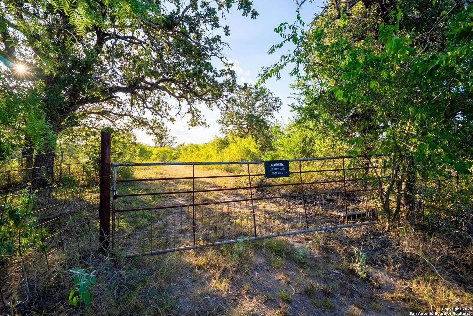 104.5 acres in Guadalupe County - photo 18