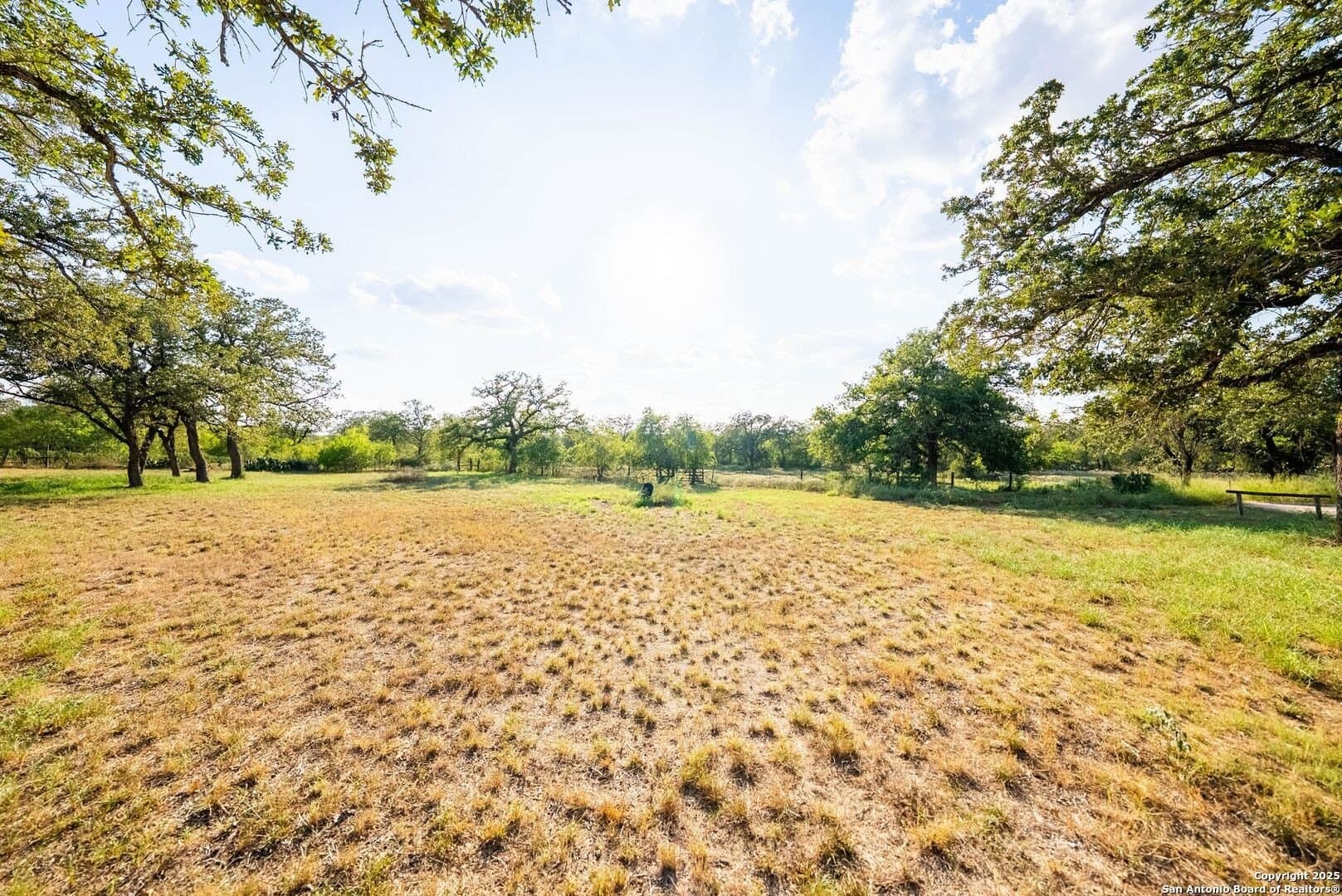 104.5 acres in Guadalupe County - photo 11
