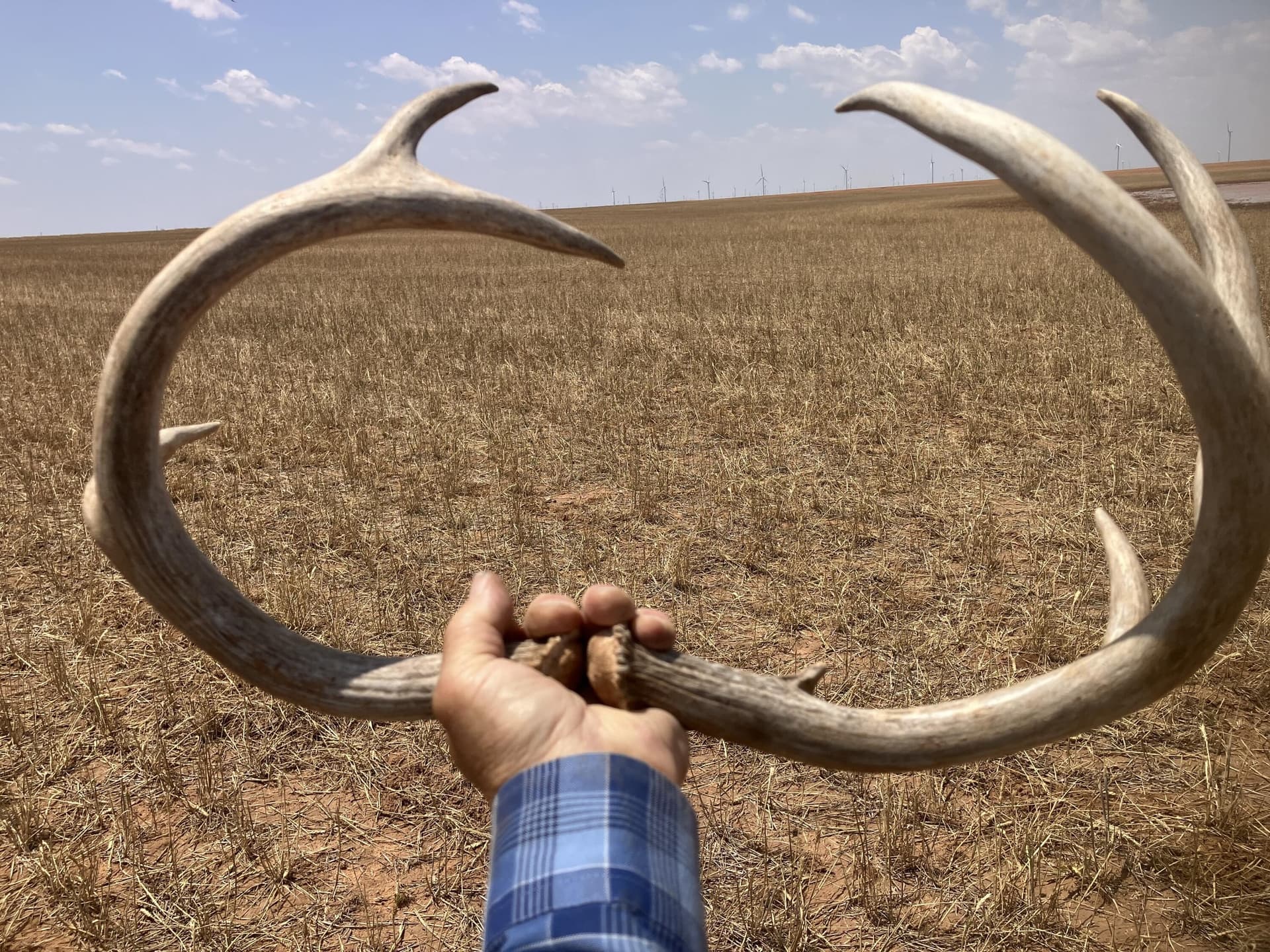 320 acres in Lynn County gallery image 2