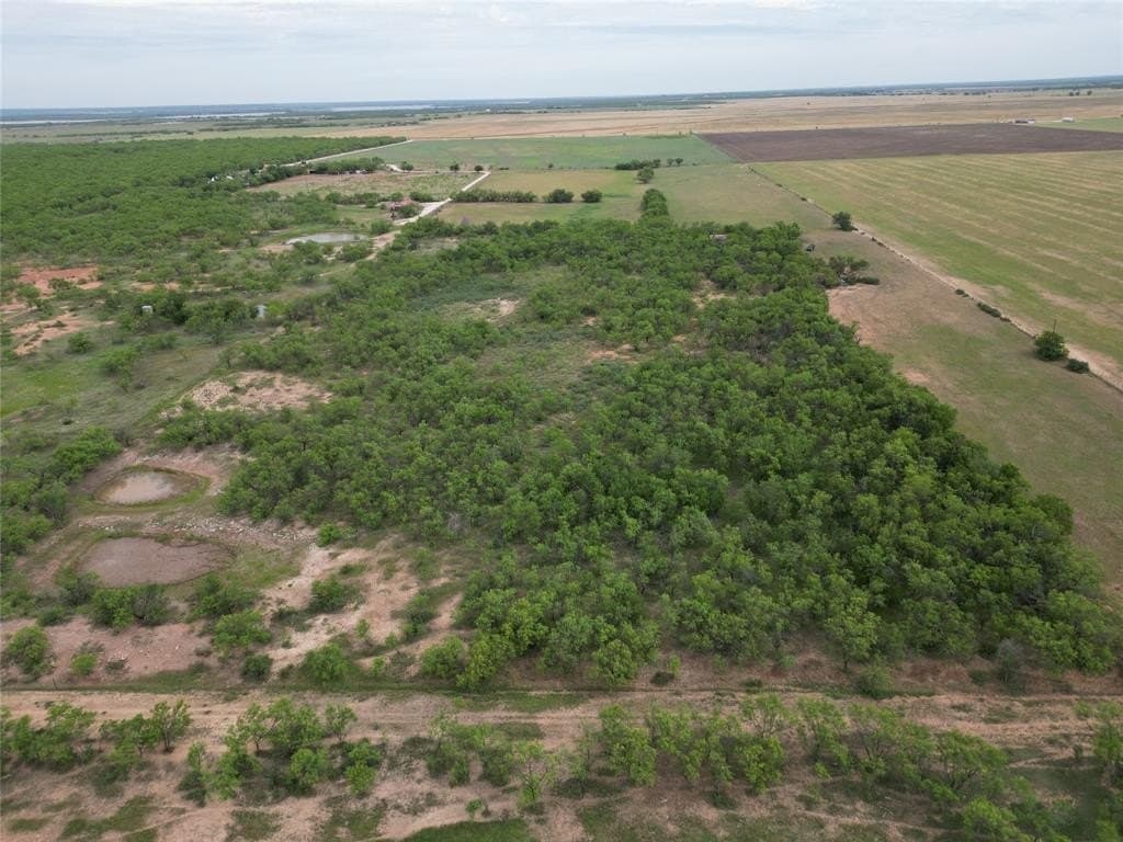 80 acres in Taylor County gallery image 4
