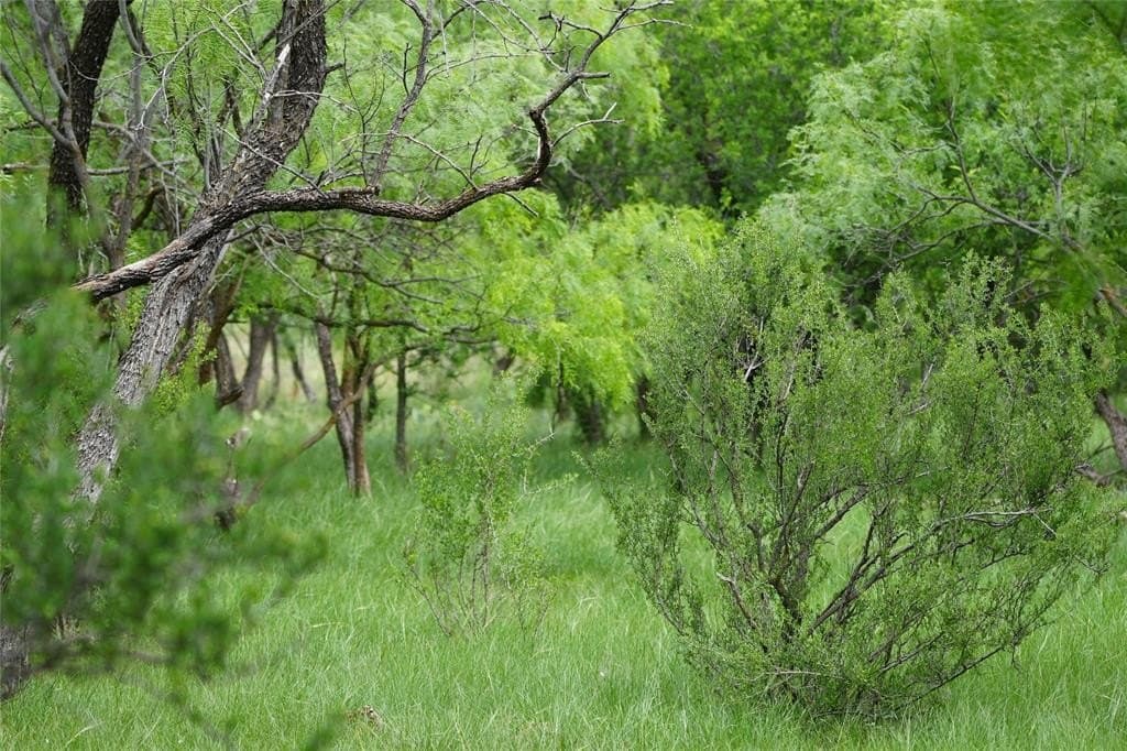 80 acres in Taylor County featured view