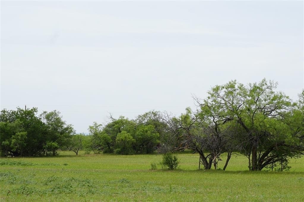 80 acres in Taylor County gallery image 2