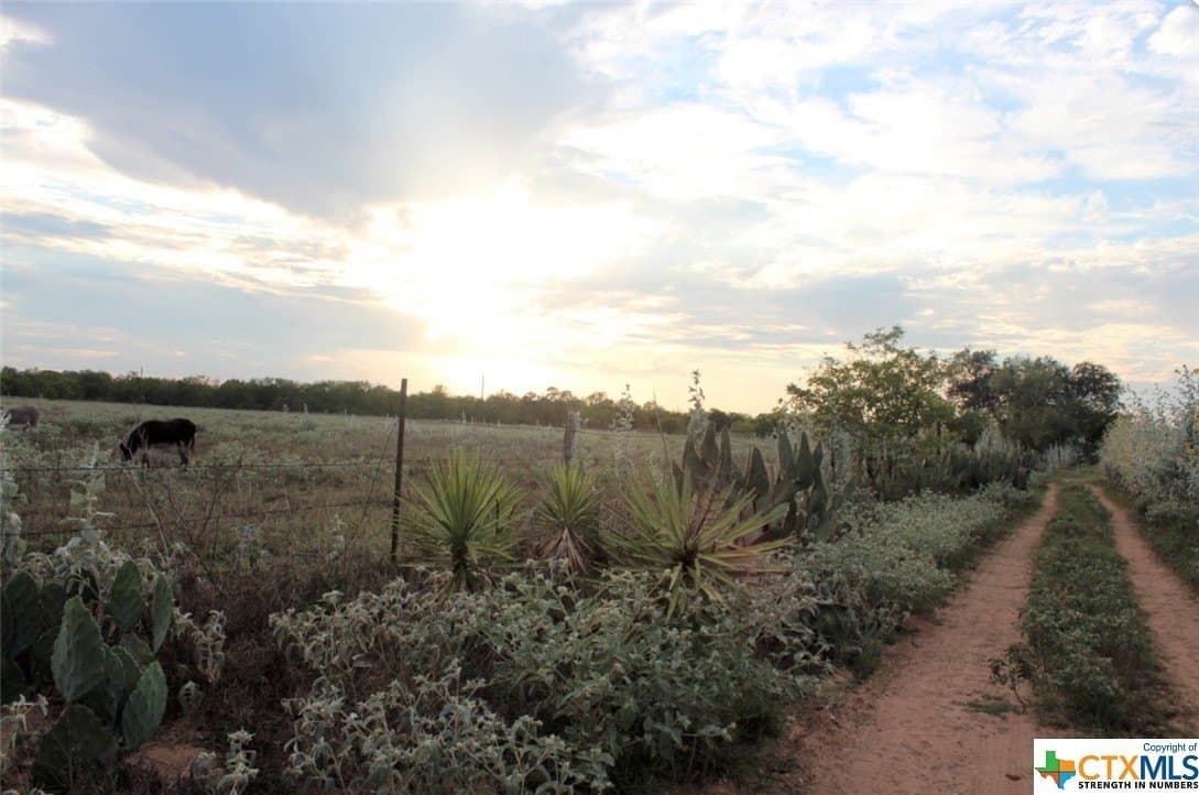 1 acres in Gonzales County - photo 13