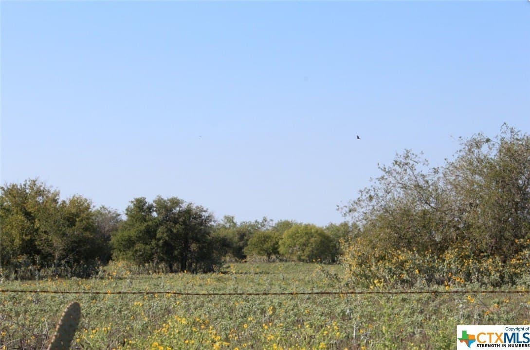 1 acres in Gonzales County - photo 9