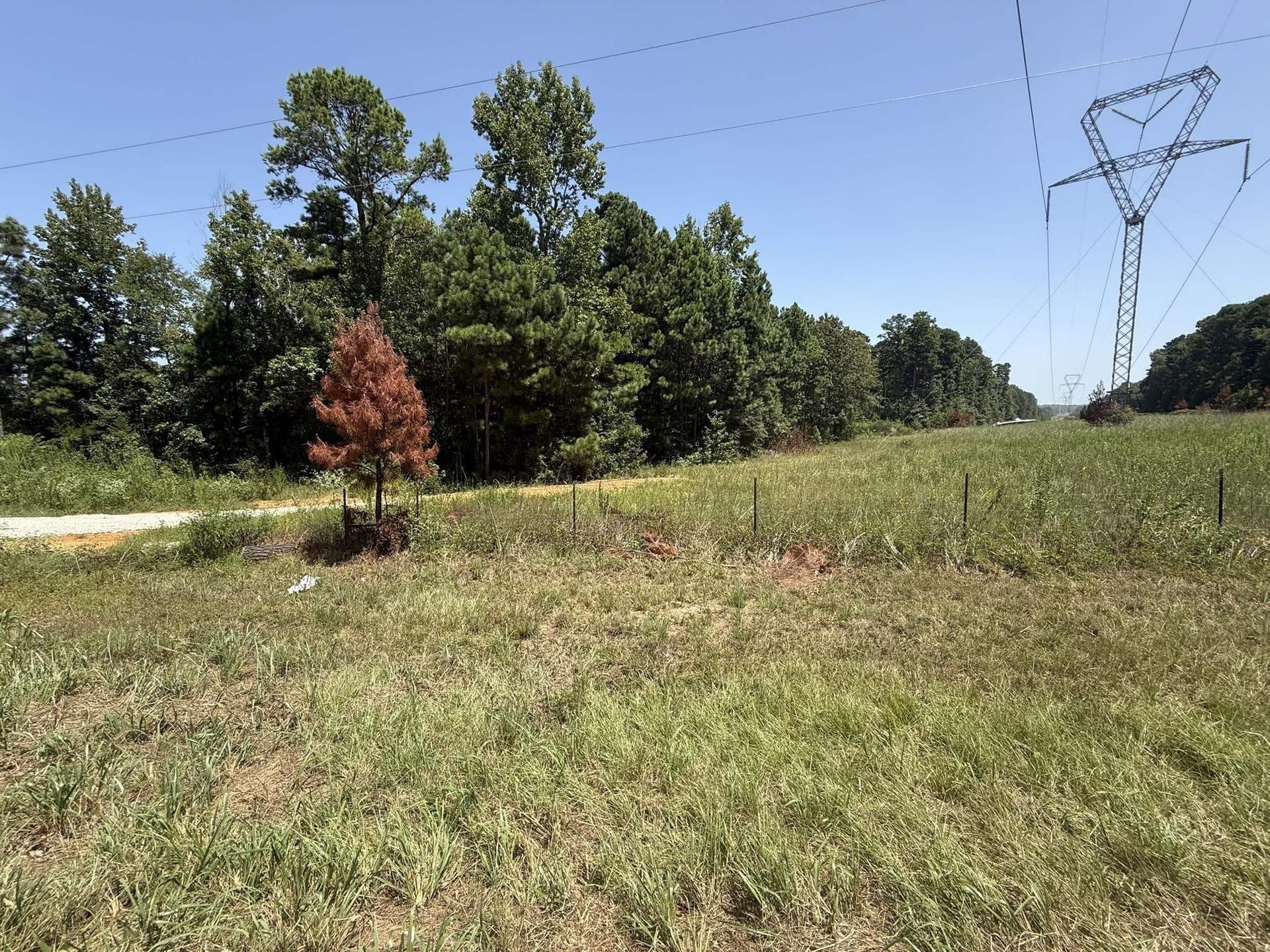 2.39 acres in Harrison County - photo 3