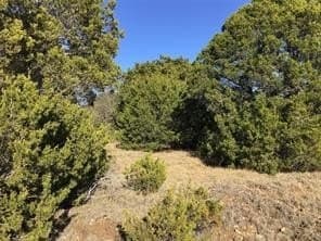 0.3 acres in Hill County - photo 3