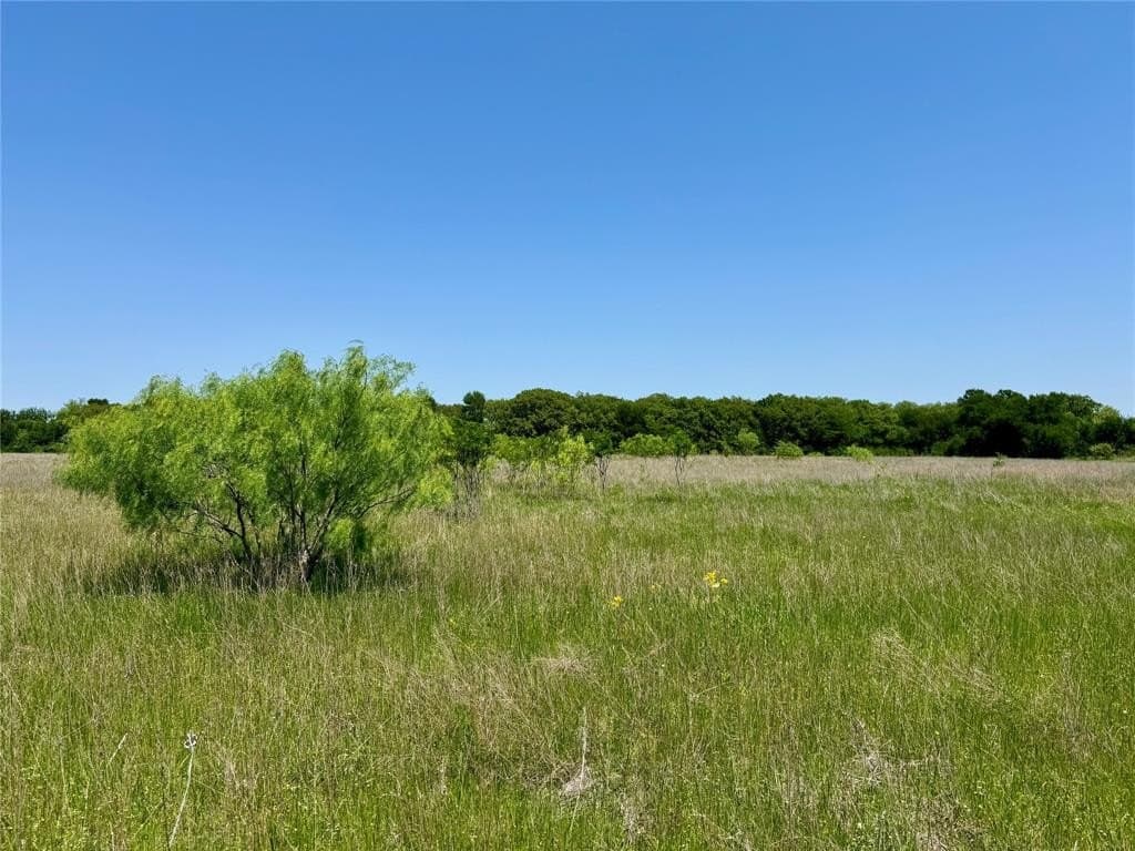 2.82 acres in McLennan County gallery image 2