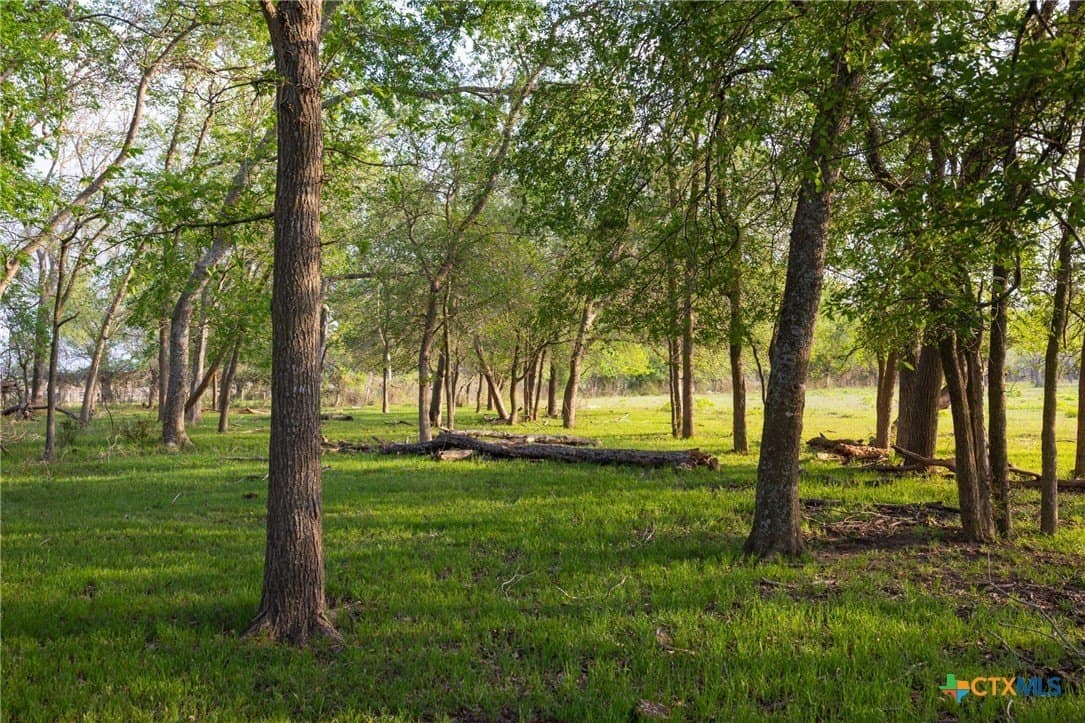 120 acres in Guadalupe County gallery image 4