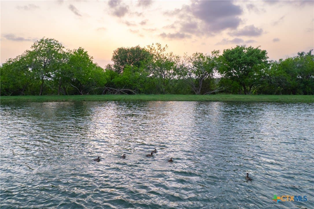 120 acres in Guadalupe County gallery image 2