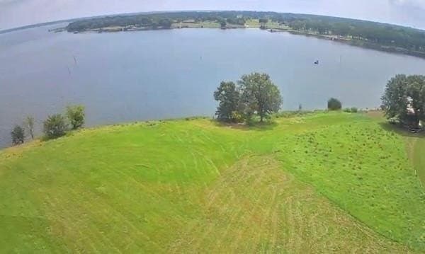 0.75 acres in Rains County gallery image 2