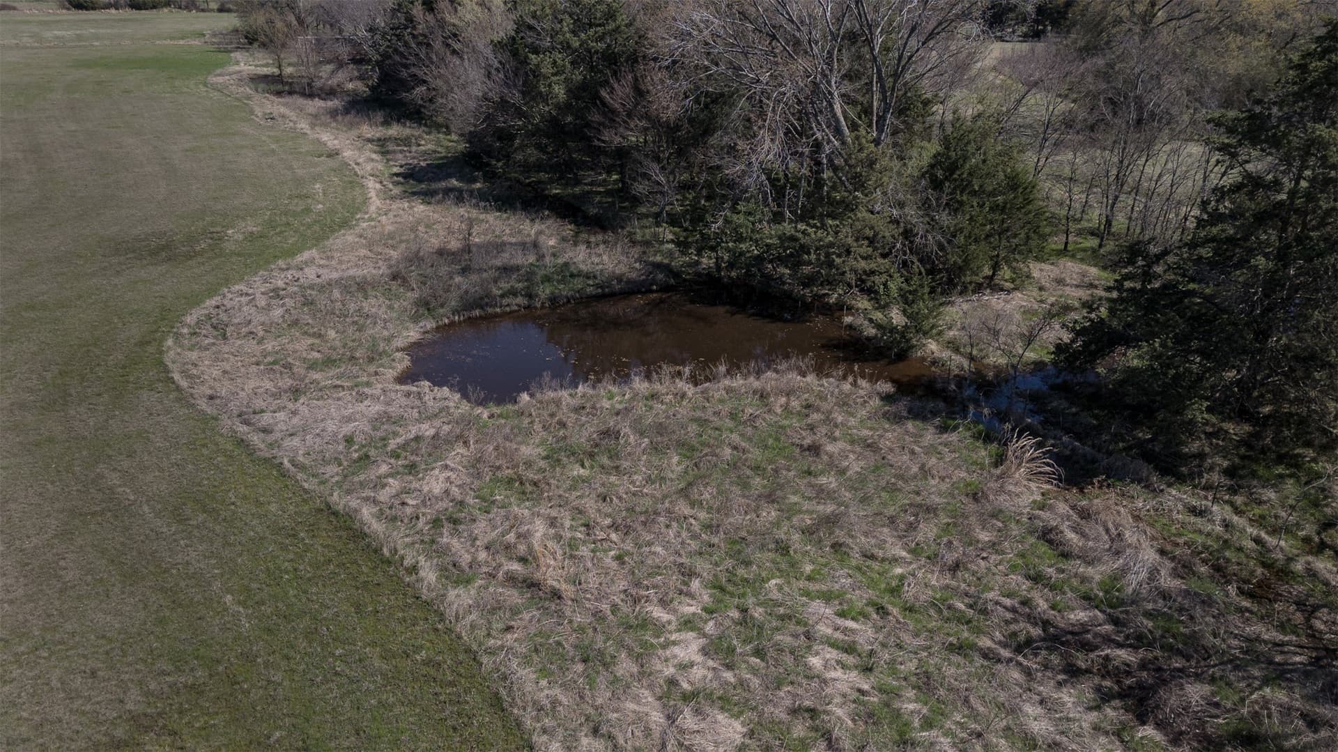 22.6 acres in Fannin County - photo 7
