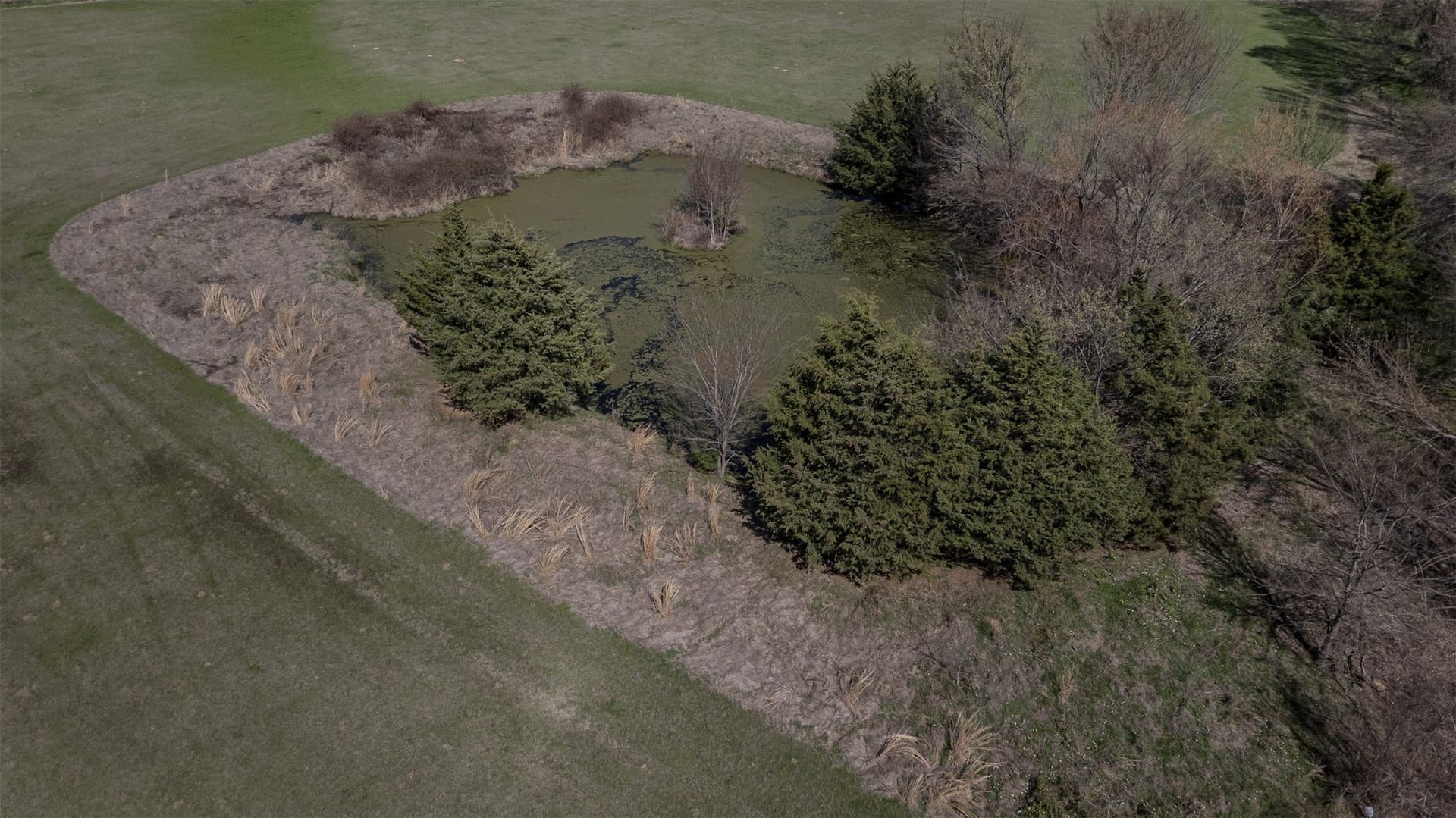 22.6 acres in Fannin County - photo 9
