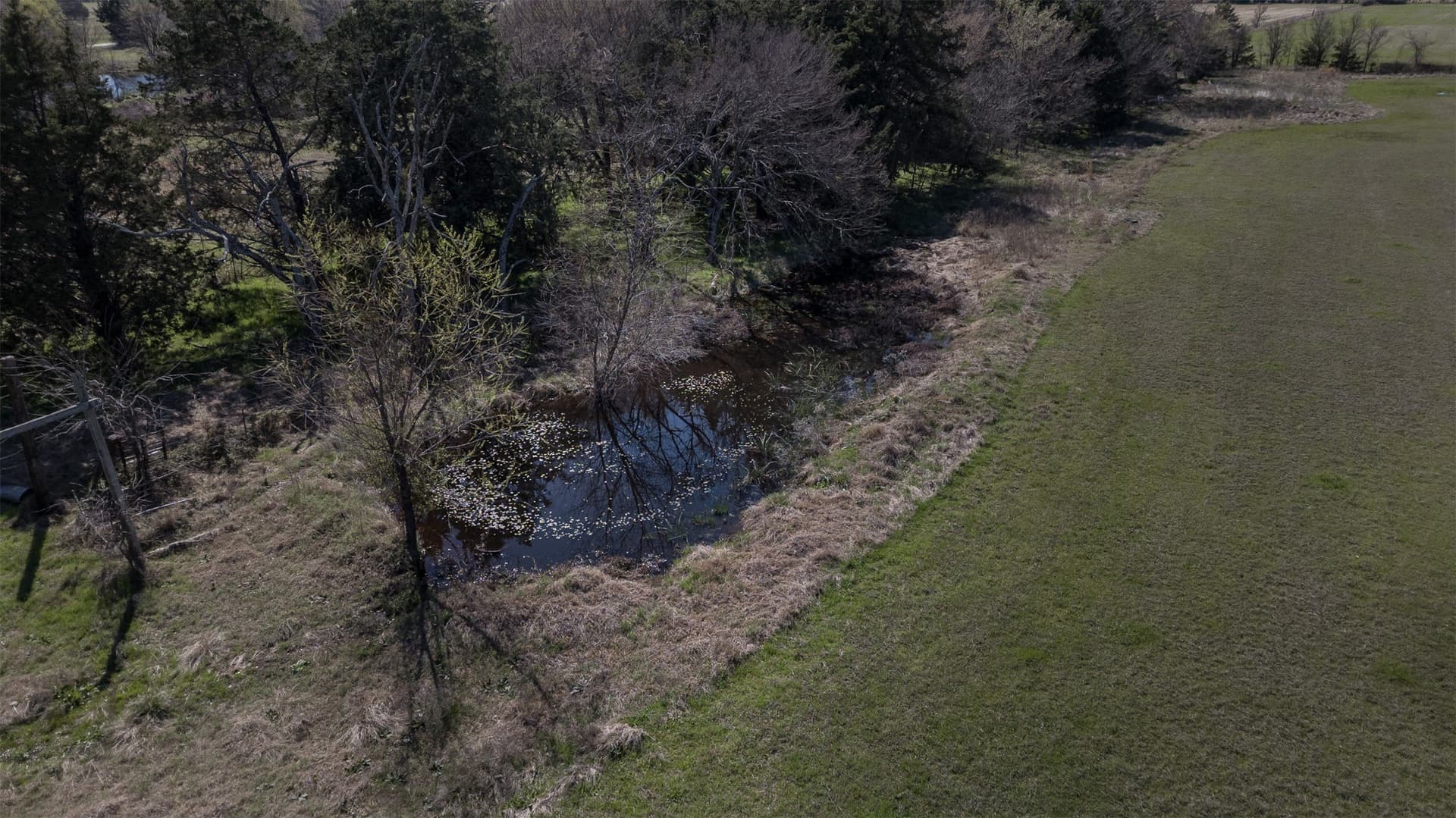 22.6 acres in Fannin County - photo 8