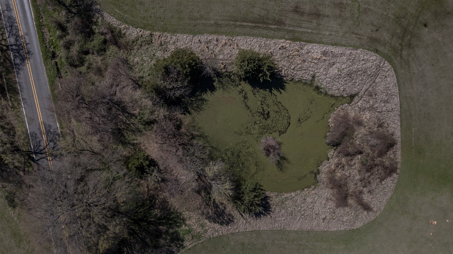 22.6 acres in Fannin County - photo 10