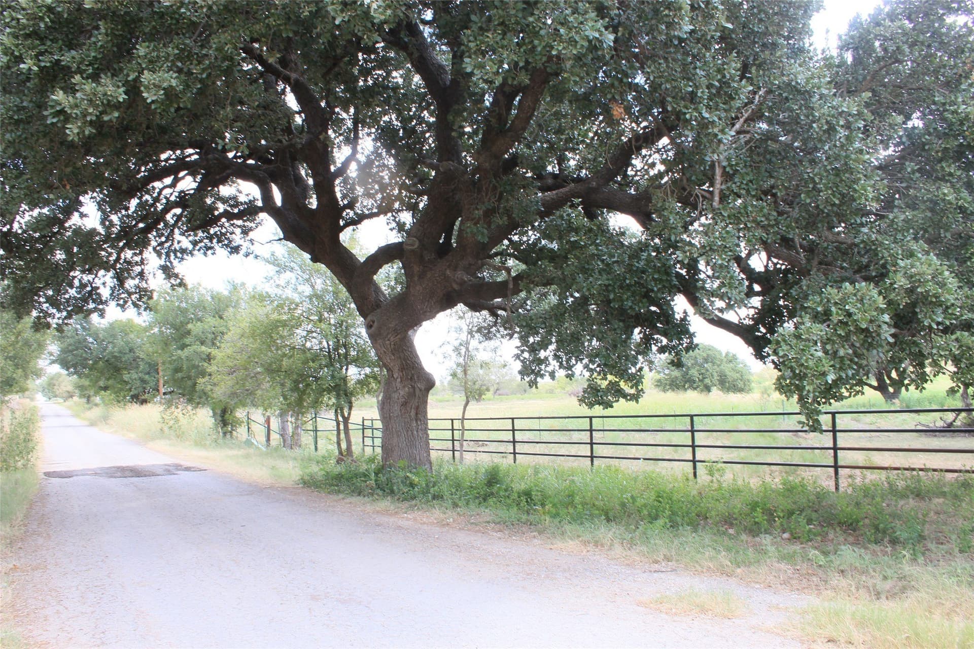 1.98 acres in San Saba County - photo 6
