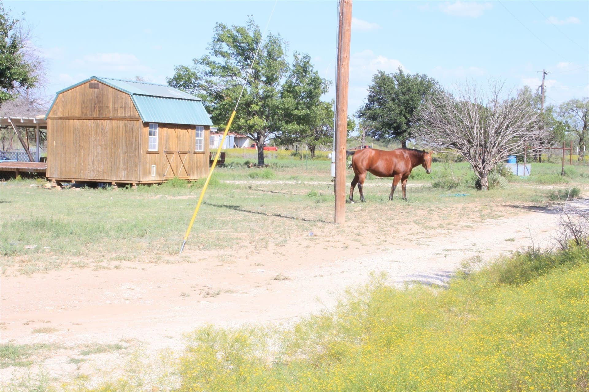 1.98 acres in San Saba County - photo 23
