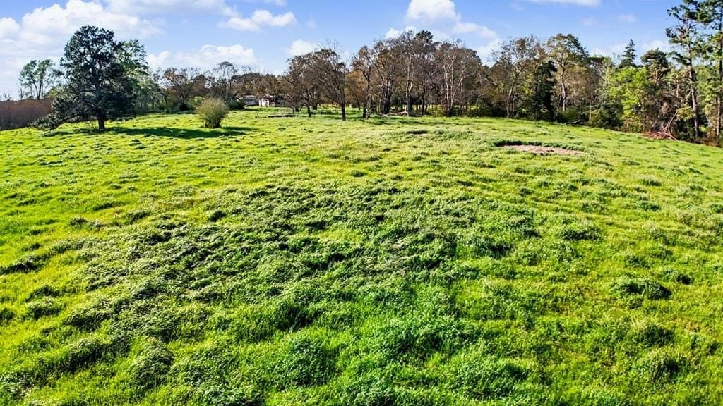 4 acres in Texas County - photo 20