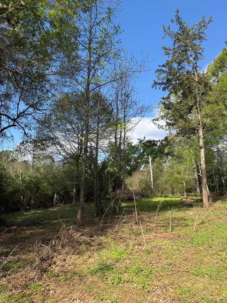 4 acres in Texas County gallery image 3