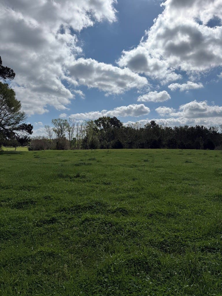 4 acres in Texas County gallery image 2