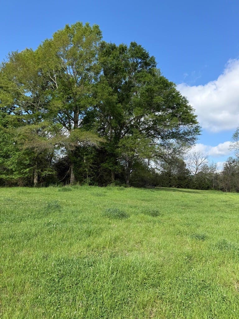 4 acres in Texas County - photo 7
