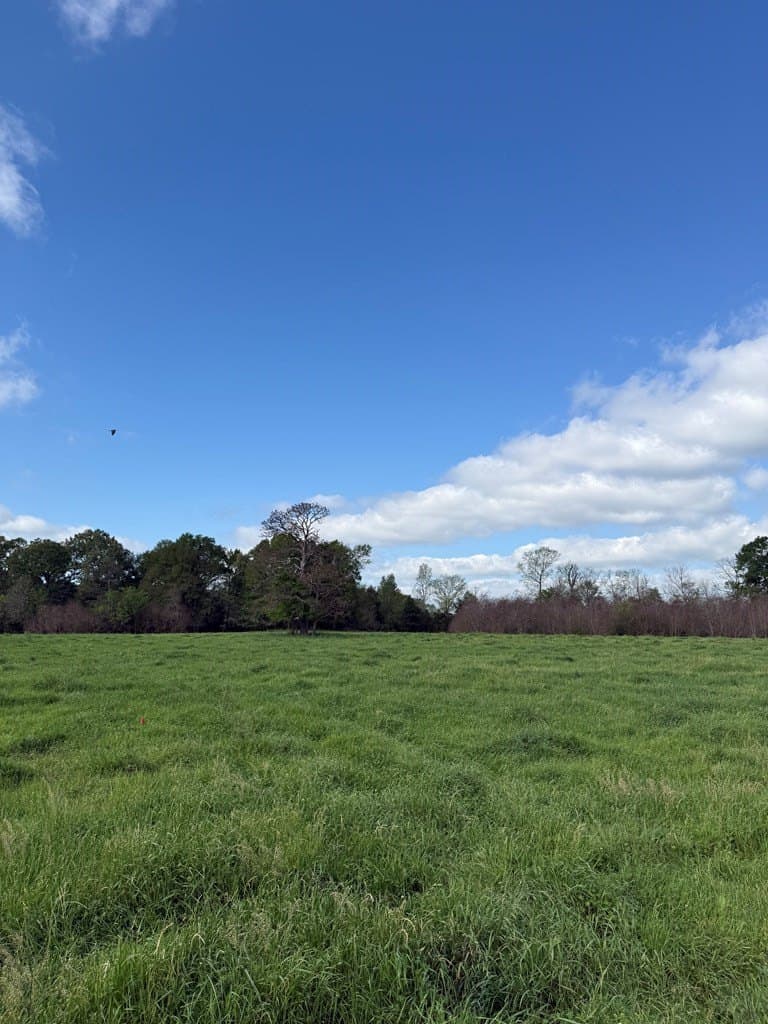 4 acres in Texas County - photo 9