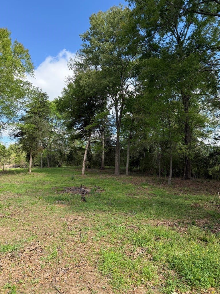 4 acres in Texas County - photo 6