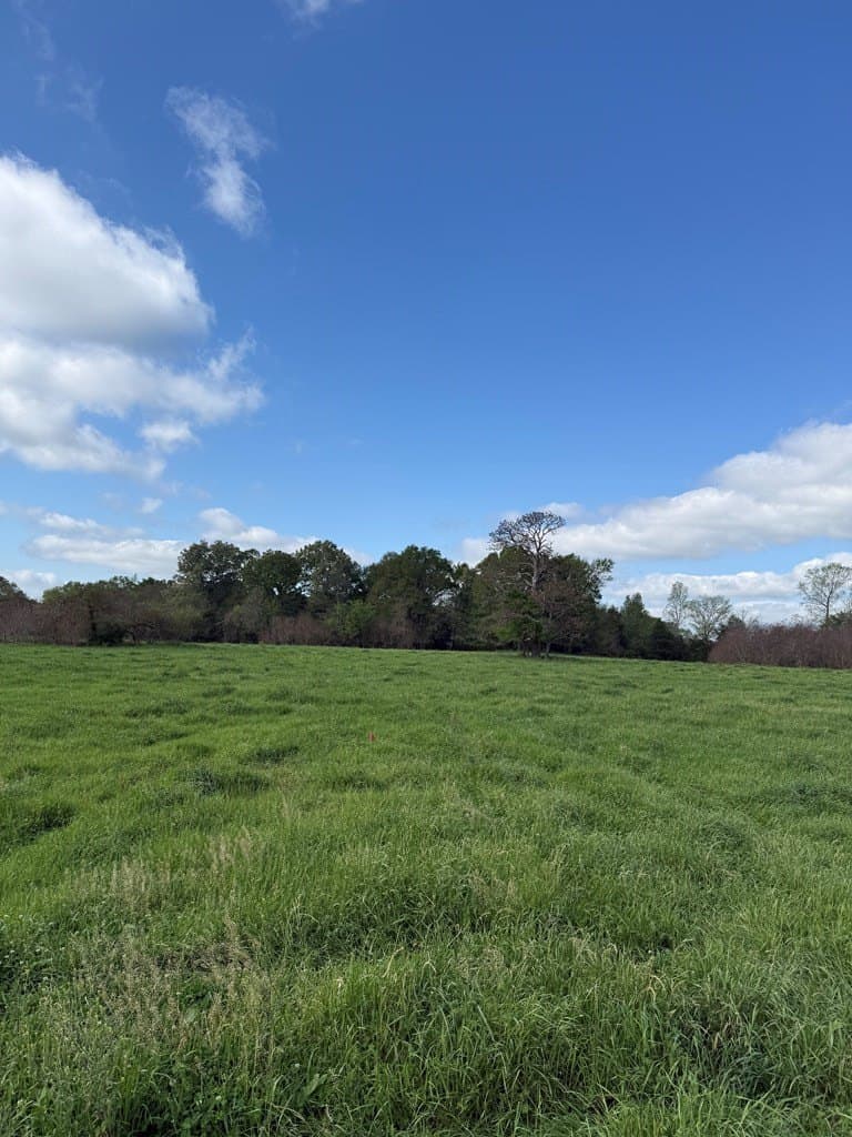 4 acres in Texas County - photo 10
