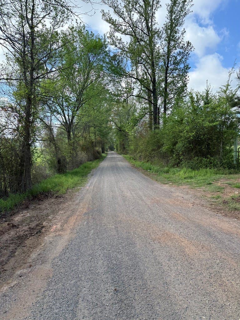4 acres in Texas County - photo 15
