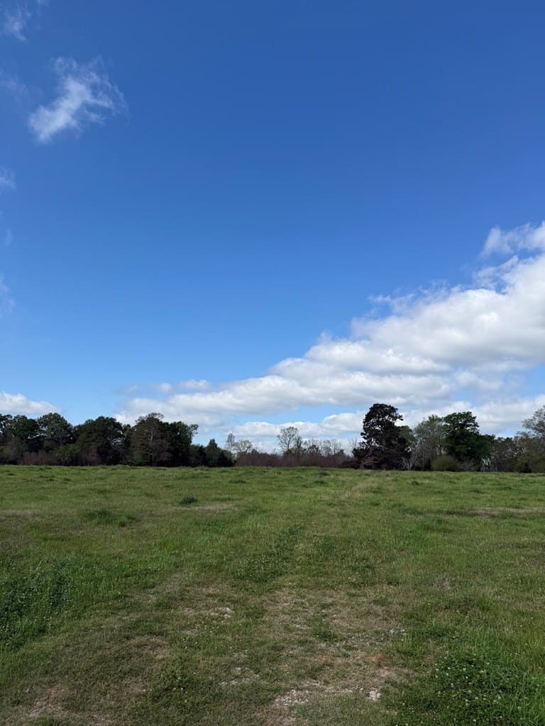4 acres in Texas County - photo 12