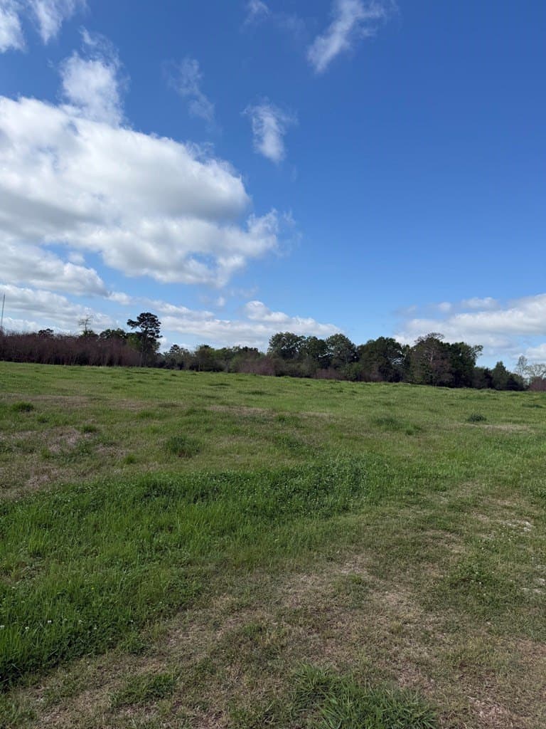 4 acres in Texas County - photo 14