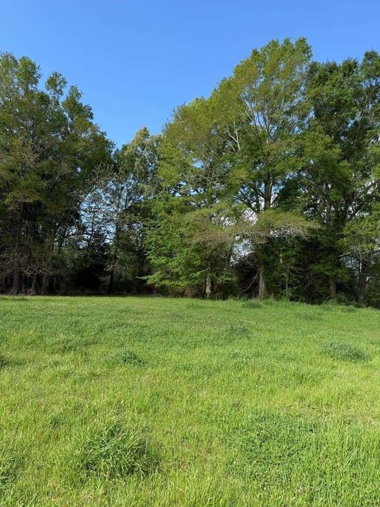 4 acres in Texas County - photo 8