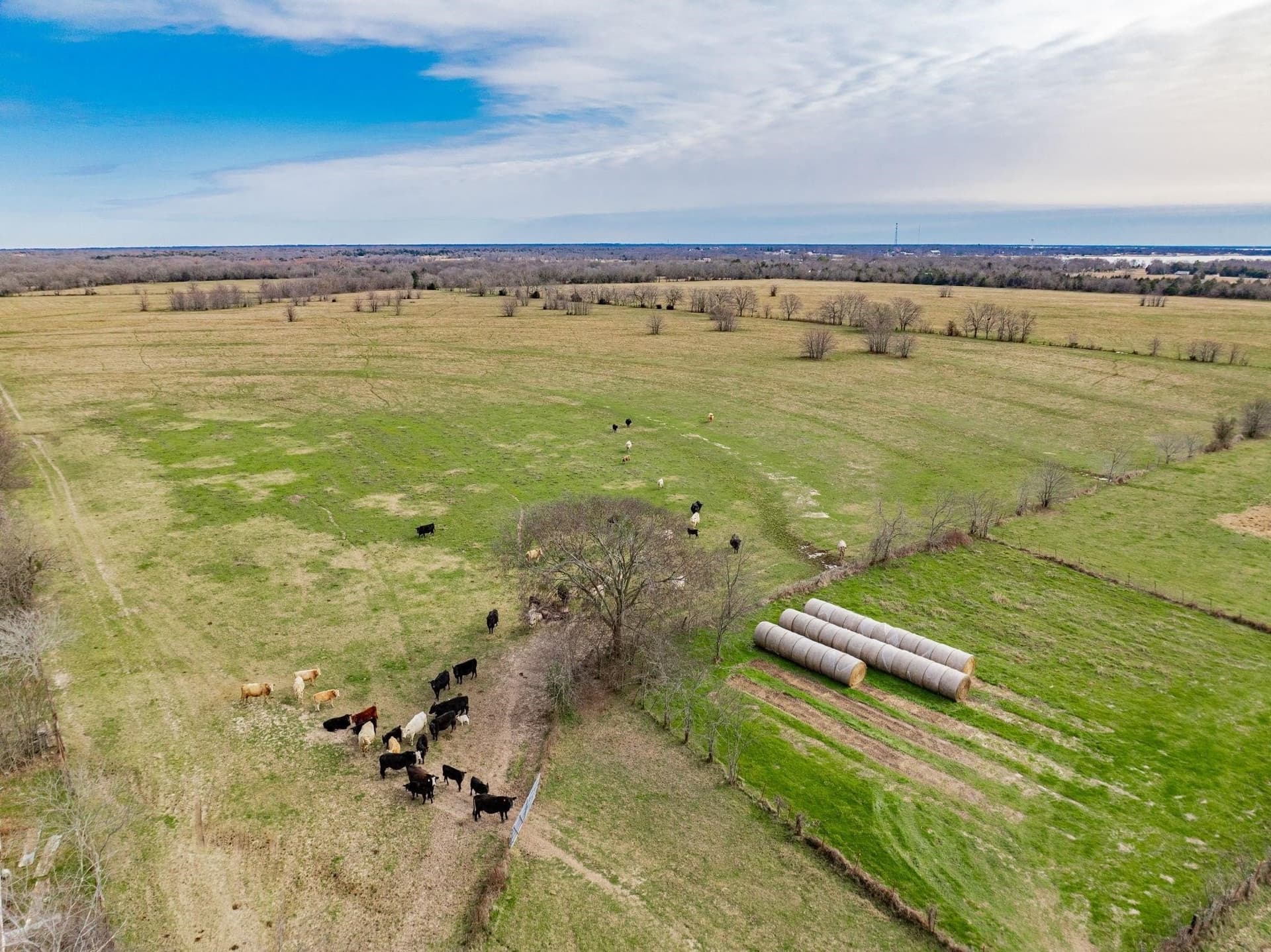 161.65 acres in Rains County - photo 17