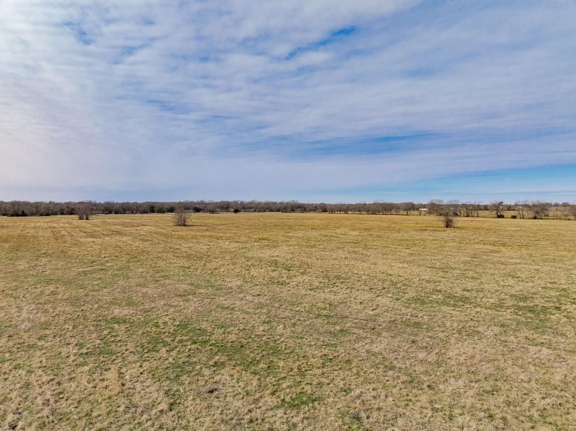 161.65 acres in Rains County - photo 29