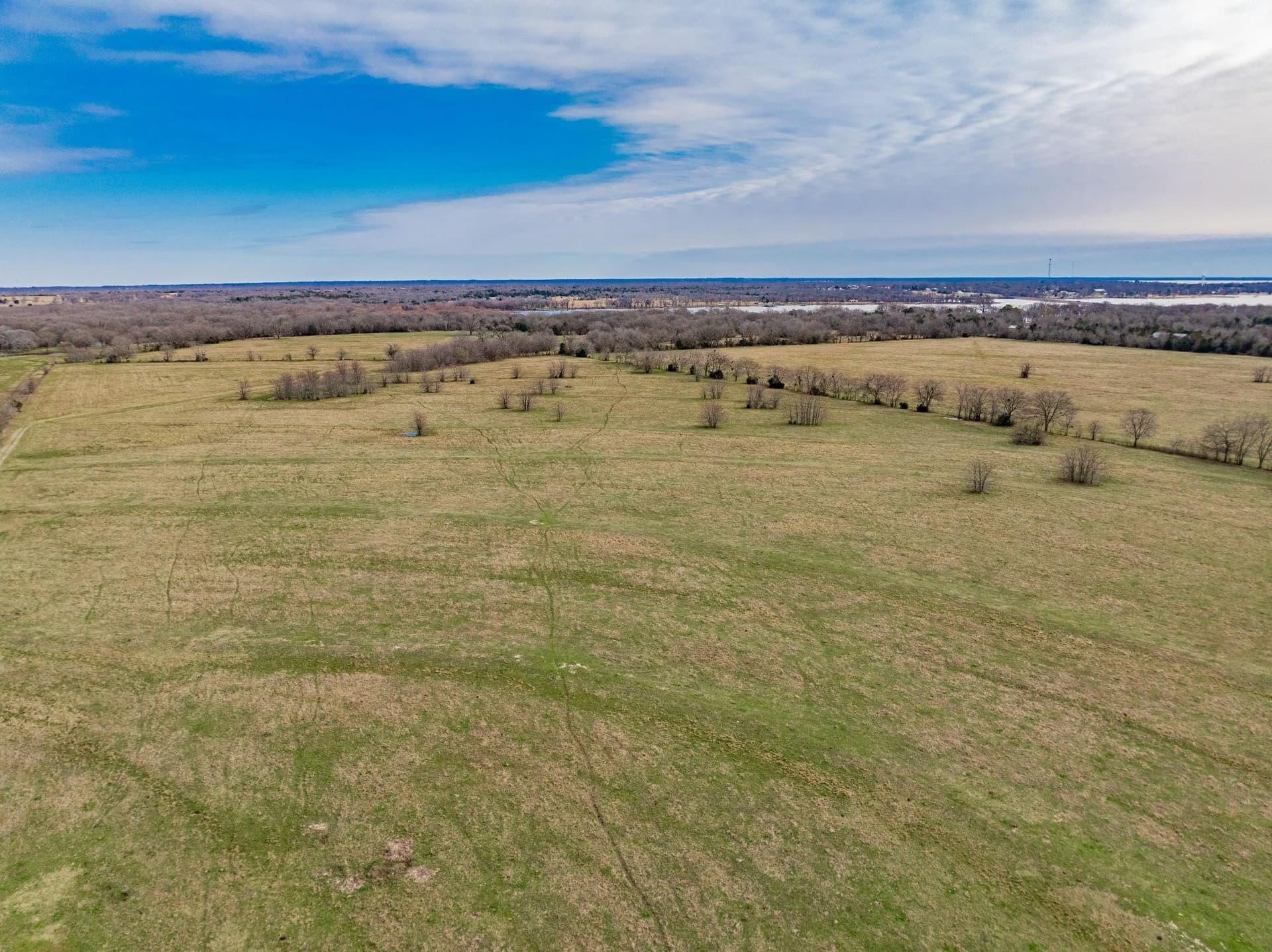 161.65 acres in Rains County - photo 8