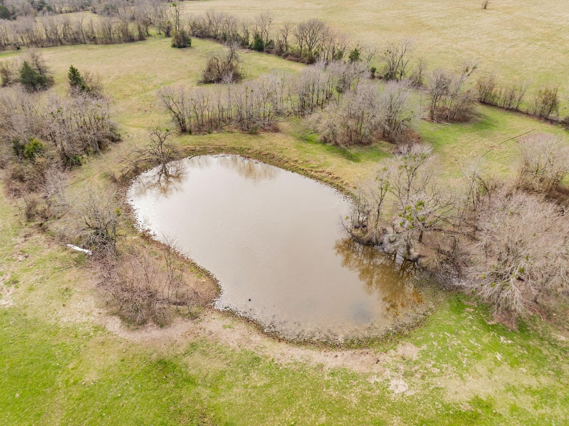 161.65 acres in Rains County - photo 15